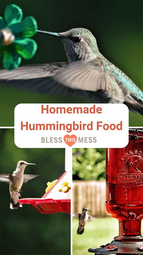 An easy way to make hummingbird food: Two ingredients to the best homemade hummingbird food ...