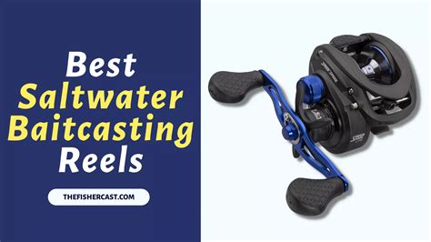 Best Saltwater Baitcasting Reels Top Gears Thefishercast