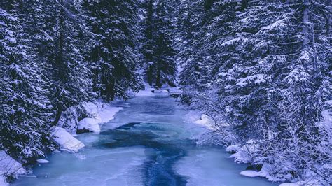 Download Wallpaper 2048x1152 Forest Winter River Snow Ice Trees