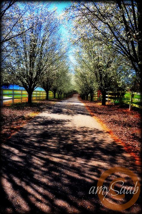 A Road Less Traveled Beautiful Landscapes Beautiful Roads Road