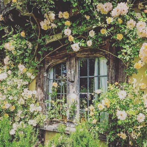 An Old Window Surrounded By Flowers And Greenery