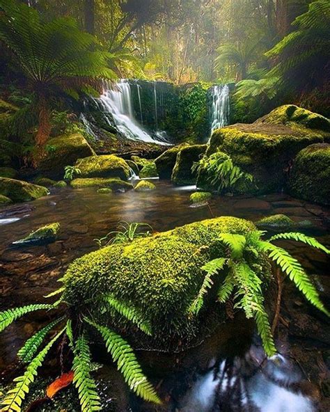 Horseshoe Falls Mount Field National Park Tasmania Australia