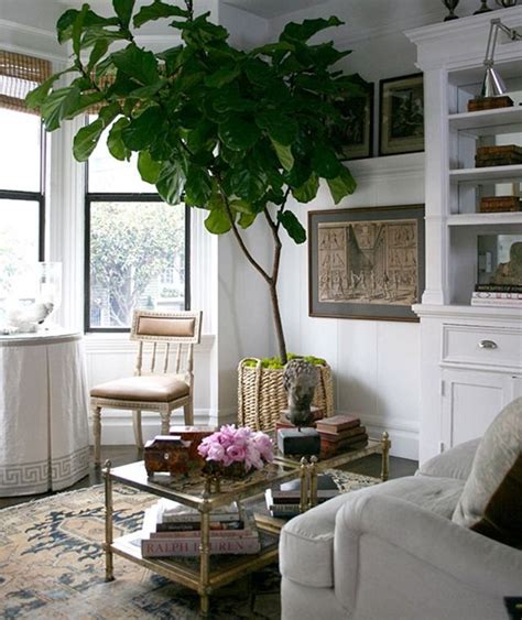 5 Ways To Warm Up White Walls Apartment Inspiration Indoor Plants