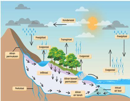 Detail Gambar Siklus Hidrologi Dan Penjelasannya Koleksi Nomer