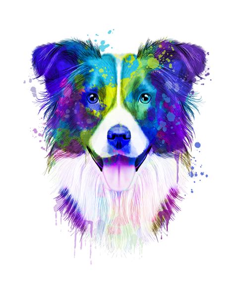 Border Collie Watercolor Watercolor Border Collie Watercolor Dog
