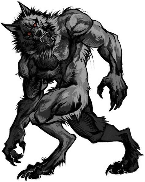 Pin By Antonio Cruz Leon On Lobos Werewolf Art Werewolf Werewolf