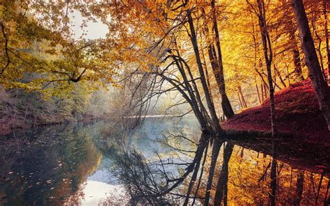 Nature Landscape Fall Trees Yellow Red Leaves Mist River Water