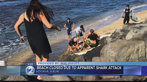 Kekaha Beach Closed Due To Apparent Shark Bite Youtube