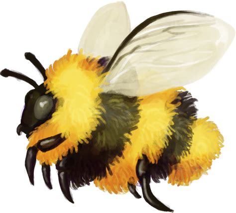 Bumblebee Insect Png Free Download Png Mart