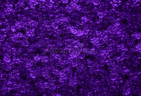 2040293 Purple Photos Free And Royalty Free Stock Photos From Dreamstime