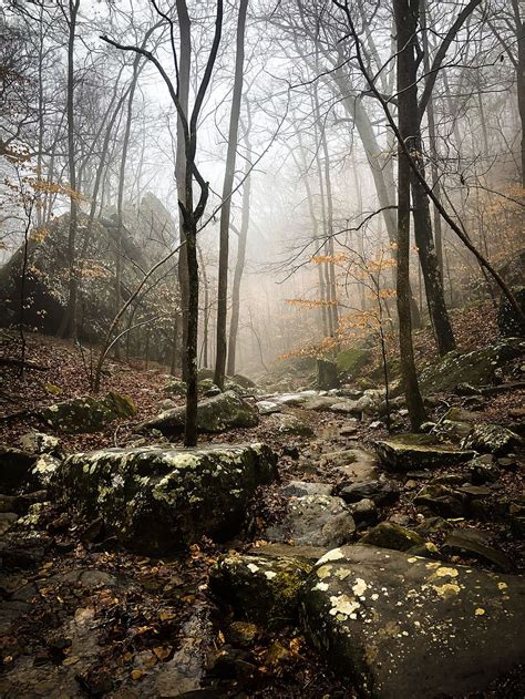 Hd Wallpaper Bare Trees Boulders Daylight Environment Fog Foggy