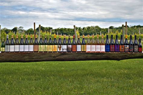 The Top 10 Wineries On Long Island