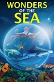 Wonders of the Sea 3D (2017) - Posters — The Movie Database (TMDB)