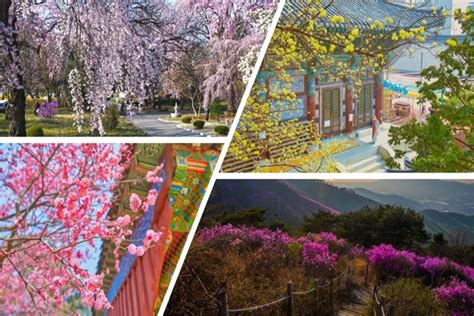 5 Lugares De Corea Del Sur Que Debes Visitar En Primavera K Magazine