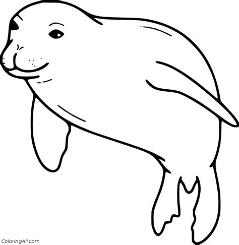 Monk Seal Coloring Pages 6 Free Printables Coloringall