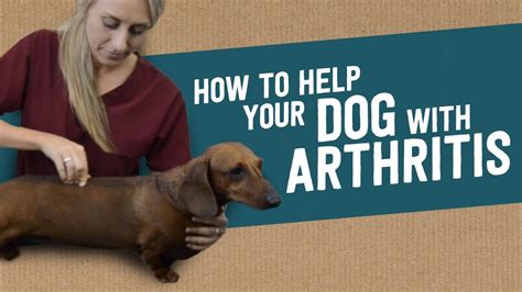 How To Help Your Dog With Arthritis Youtube