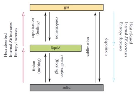 Phases And Gases Flashcards Quizlet