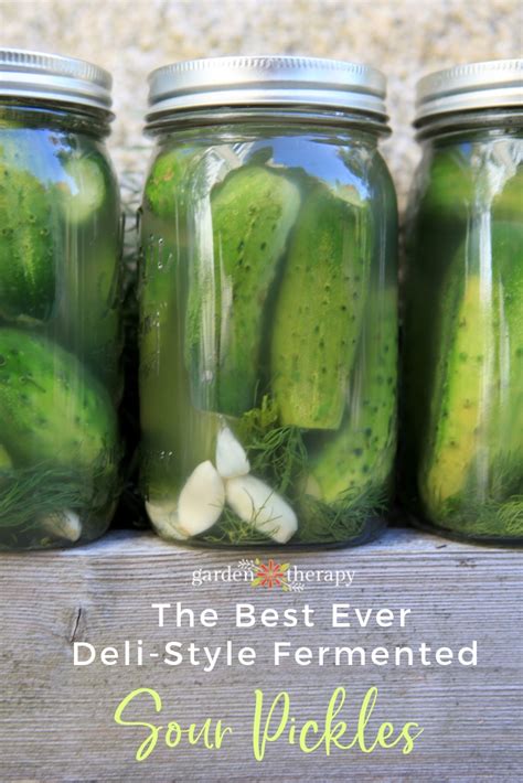 The Best Ever Deli Style Sour Pickles Recipe Ever Seriously Garden