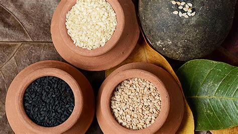 Four Commonly Used Varieties Of Sesame Seeds Hl Agro