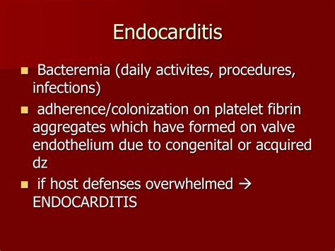 Ppt Amen Corner Endocarditis Prophylaxis Powerpoint Presentation