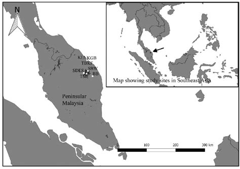 Boat slipway pengkalan gawi (18 km), kenyir lake (tasik kenyir) (18 km), ajie don't worry (23 km), niagara sekayu (25 km), forest sekayu (25 km). Study sites of bats in Terengganu. Hulu Terengganu ...