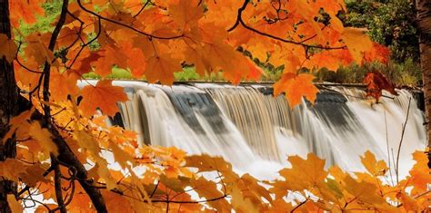 60 Breathtaking Fall Images For Your Inspiration