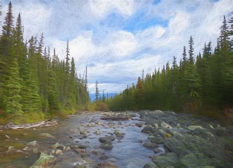 Forest River Painting By Dan Sproul Fine Art America