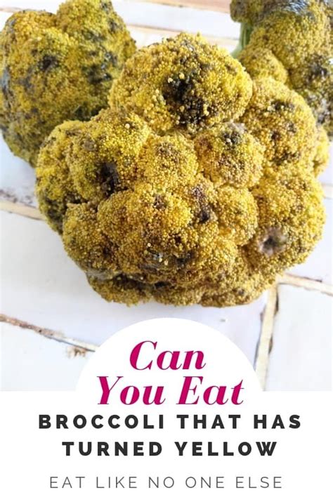 Read on to find out! Can You Eat Broccoli That Has Turned Yellow? | Eat ...