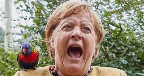 Merkel Von Vogel Gebissen