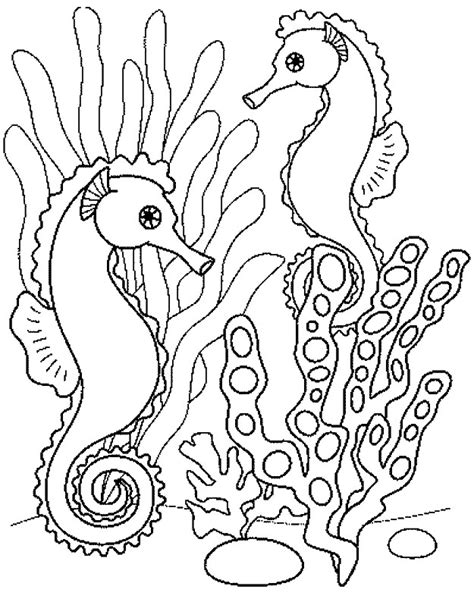 Coloriage Hippocampe Dans La Mer Dessin Gratuit à Imprimer