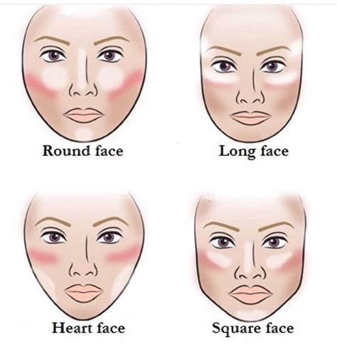 33 a cheat sheet to contouring 40 infographics for contouring highlights and blush