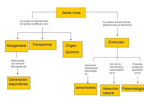 La Evolucion De Los Seres Vivos