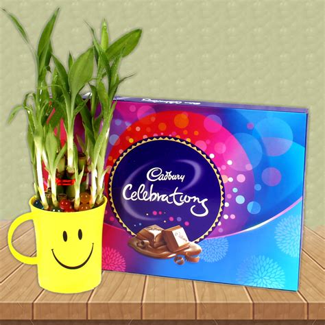 Cadbury Celebration Chocolate Box With Good Luck Bamboo Plant Best
