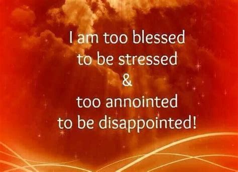 To strengthen him, i hand him an ant donut. Too Blessed To Be Stressed Quote | Quote Number 678502 | Picture Quotes