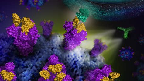 This subreddit seeks to facilitate. U-M researchers advance antibody test development to aid ...