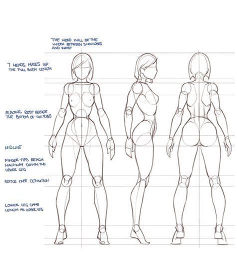 Female Anatomy Sketches