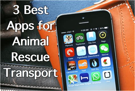 3 Apps To Help You Manage Your Animal Rescue Transport