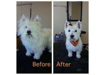 I can quote it like a preacher quotes gospel. 3 Best Pet Grooming in Boise City, ID - Expert Recommendations