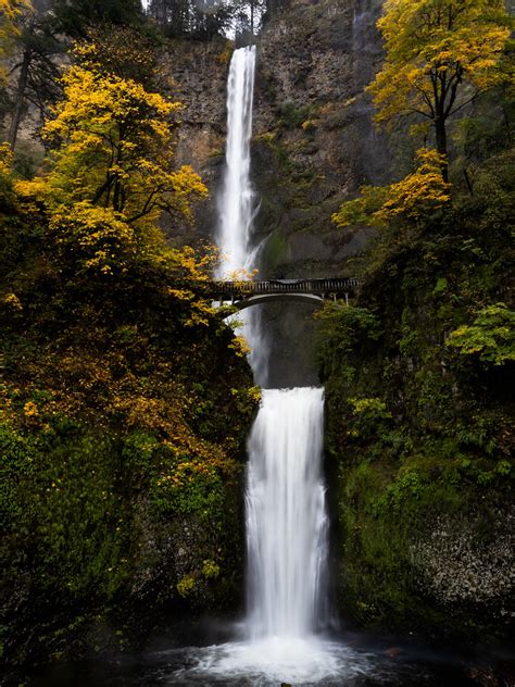 Multnomah Falls Fall Colors Surrounding The Falls John Harvey Flickr