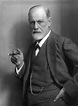 Sigmund Freud's views on homosexuality - Wikipedia