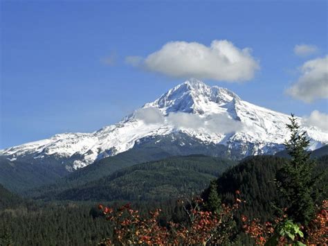 Mount Hood Hikes 5 Spots With Stunning Views Of Oregons Iconic Peak