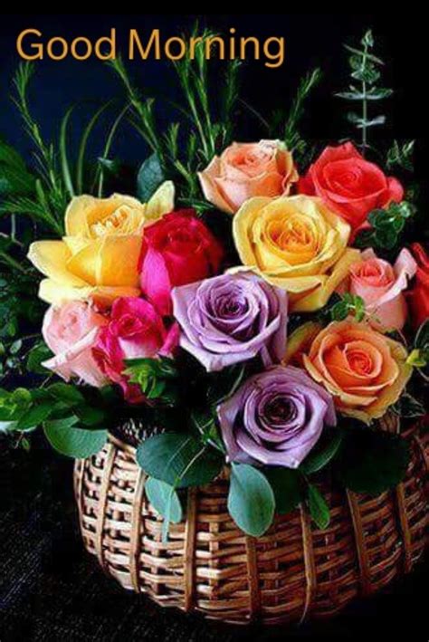 Pin By Dinesh Kumar Pandey On Good Morning Pretty Flowers Rose