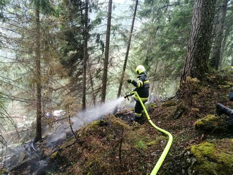 Feuerwehren Im Einsatz Mehrere Waldbrände Im Mariazellerland Bruck