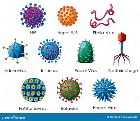 Diagrama Que Muestra Diferentes Tipos De Virus Ilustración Del Vector