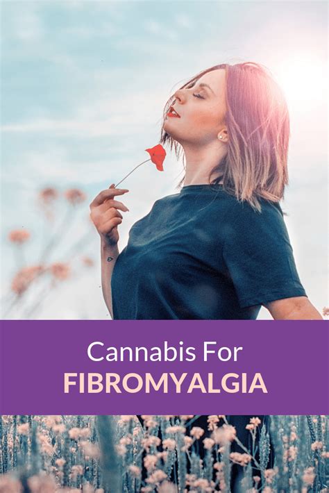 Cannabis For Fibromyalgia Dr Michele Ross