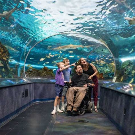 Ripley S Aquarium Of Canada Experiences Events