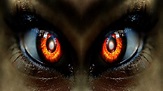 Evil Eyes Wallpaper - WallpaperSafari