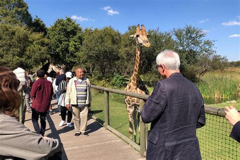 Johannesburg Safari Day Trips Best Packages And Prices 2022 Safari Near