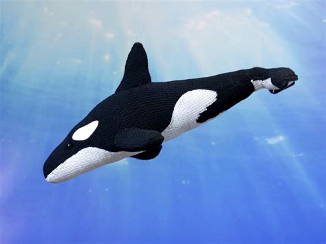 Arrluk The Orca Killer Whale Knitting Pattern Photos And Pictures