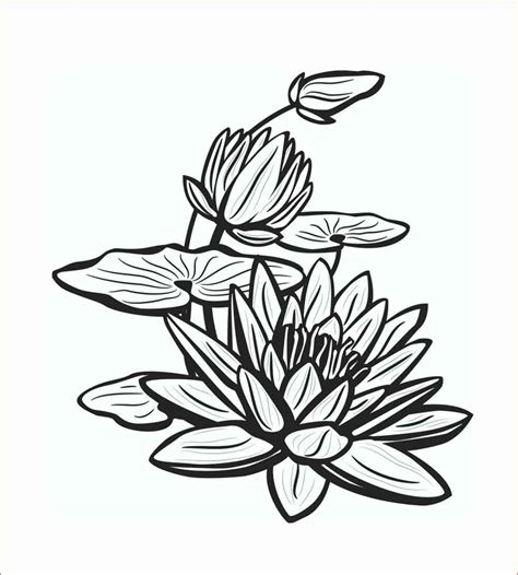 15 Contoh Sketsa Bunga Yang Indah Dan Simple Broonet